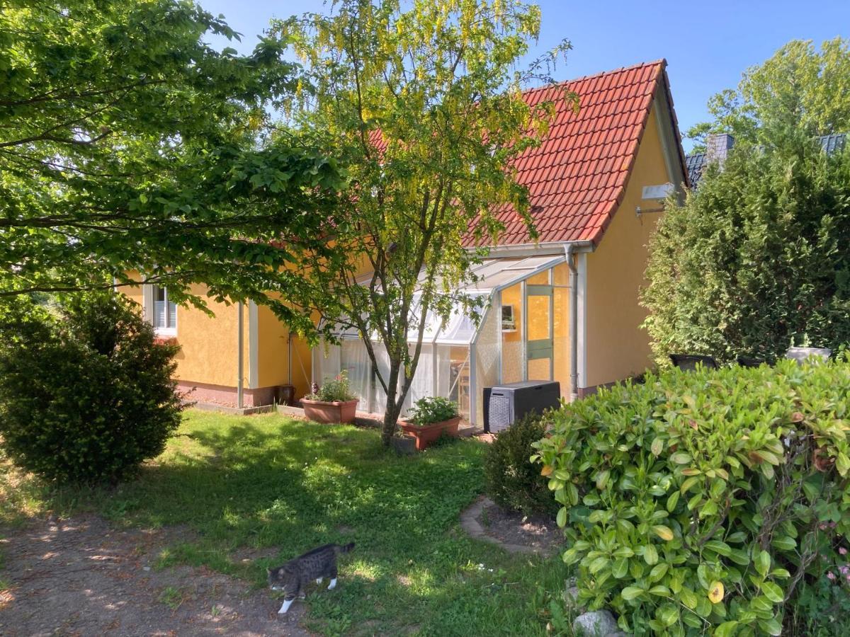 Ferienhaus -Villa Huehnerstall- Hessenburg 외부 사진